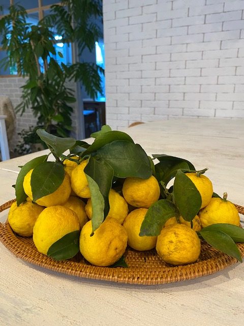 埼玉住建　リノベーション　お客様からの頂き物　自家製　冬至　ゆず湯　所沢　