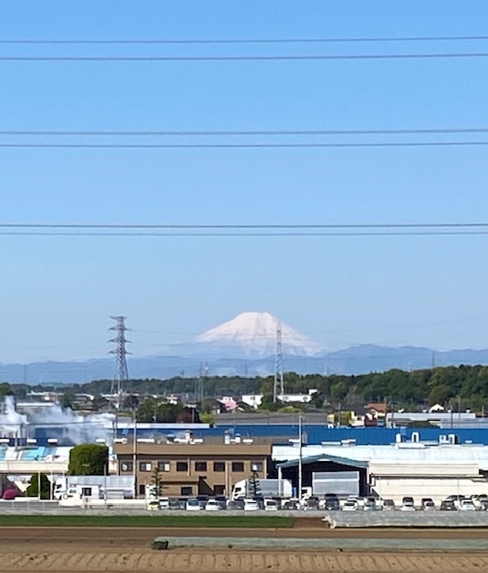 埼玉住建所沢　借景　マンションリノベーション